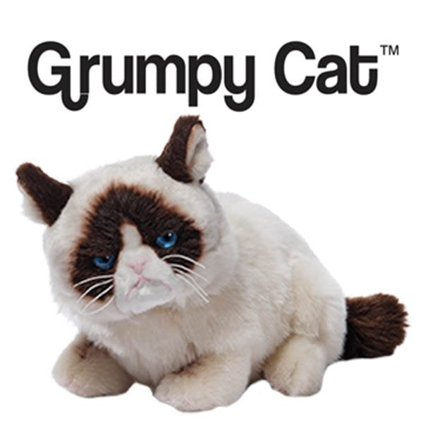 Grumpy Cat Gifts Misc