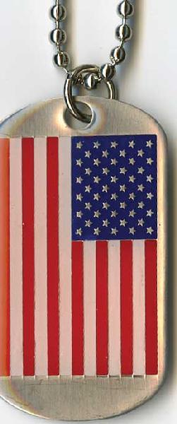 Usa Dogtag Necklace Keychain