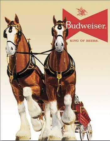 Bud Clydesdale Team Signs
